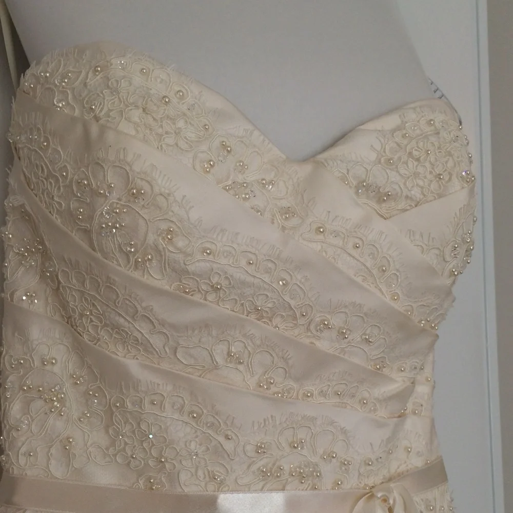 NEW/ NEVER WORN: Paloma Blanca Wedding Dress: style #CA05313 - Picture 14 of 15
